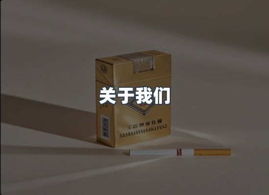 关于我们
